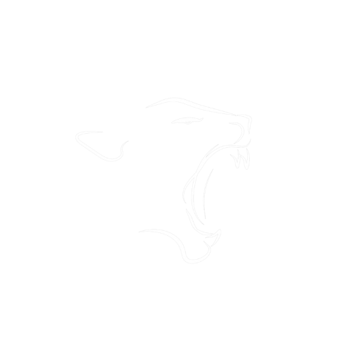 logo favicon lioness closing blanc