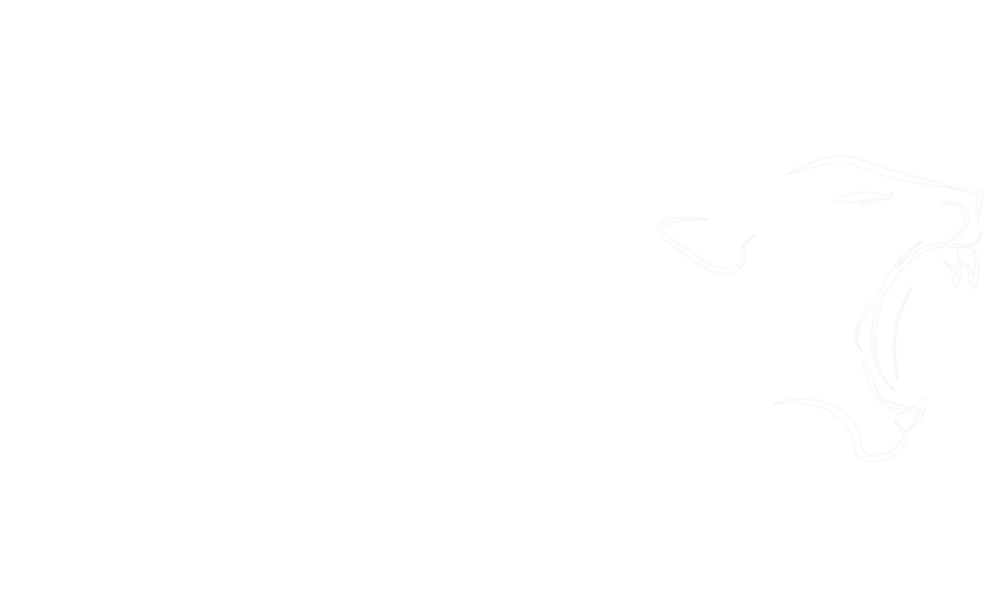 logo lioness closing formation
